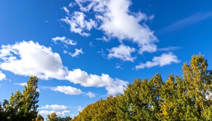 Naklejka premium A vibrant autumn sky, dotted with fluffy white clouds, is framed by a line of trees with changing foliage.