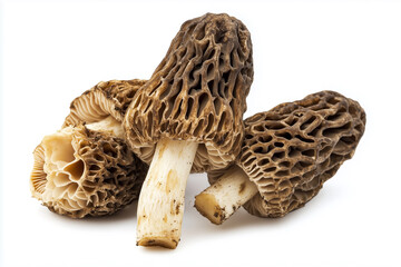 Flawless fresh ripe morels mushrooms isolated on white background, generated AI