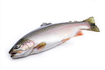 Naklejka premium Flawless raw fresh trout fish on white background isolated, generated AI