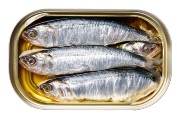 Canned sardines in oil, top view