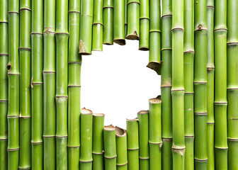 green bamboo walls with a torn hole png image on transparent background