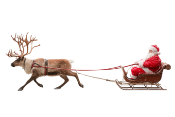 A Christmas reindeer pulling Santa’s sleigh, isolated on a transparent background.