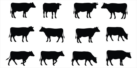 Collection of black cow silhouettes in various poses on a white background cattle farm