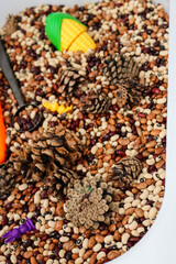 Sensory Bin with Beans, Pinecones and Toys