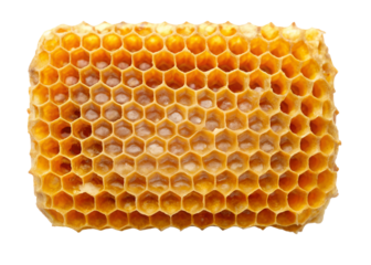 honeycomb with honey top view png image on transparent background