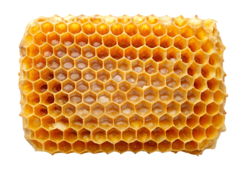 honeycomb with honey top view png image on transparent background