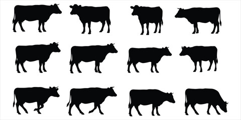 Twelve Black Silhouettes of Cows in Different Poses on White Background cattle animal