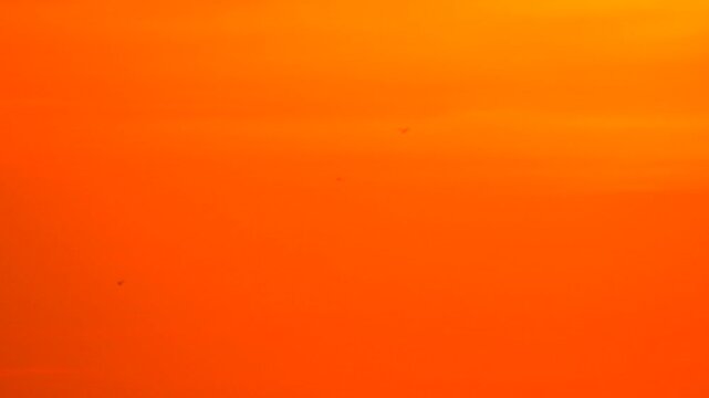 Sunset ocean horizon, vibrant orange yellow sky, serene golden hour light