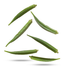 several ripe peaches and apricots with leaves