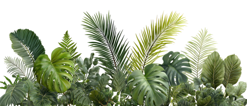 Lush tropical foliage arrangement (1)