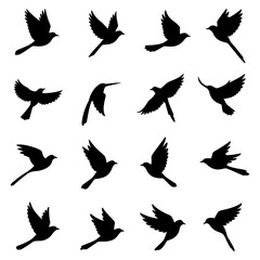 A collection of sixteen black flying bird silhouettes in various poses isolated on a white background icon