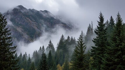 Stunning Mountain Panorama with Trees Shrouded in Mysterious Foggy Sky, Ideal for Emotional Marketing Campaigns Evokes a Sense of Peace and Tranquility.