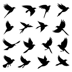 Birds Flying Silhouettes Diverse Avian Shapes for Design and Artistic Compositions on White Background