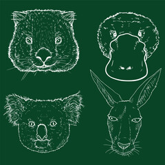 Australian Animals Heads Chalk Sketches
