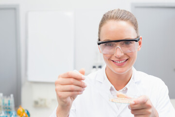 Female scientist in lab coat pipetting liquid into petri dish by reagent bottles, cabinets at bench