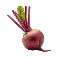 Freshly harvested red beetroot vegetable isolated against a clean transparent background