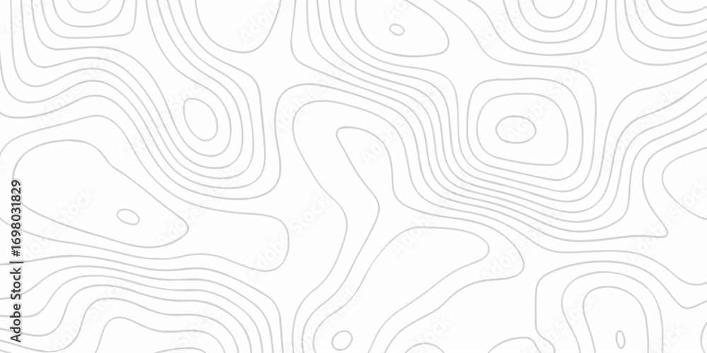 Poster abstract topographic white wave paper curved reliefs. topographic map patterns, topography line map.