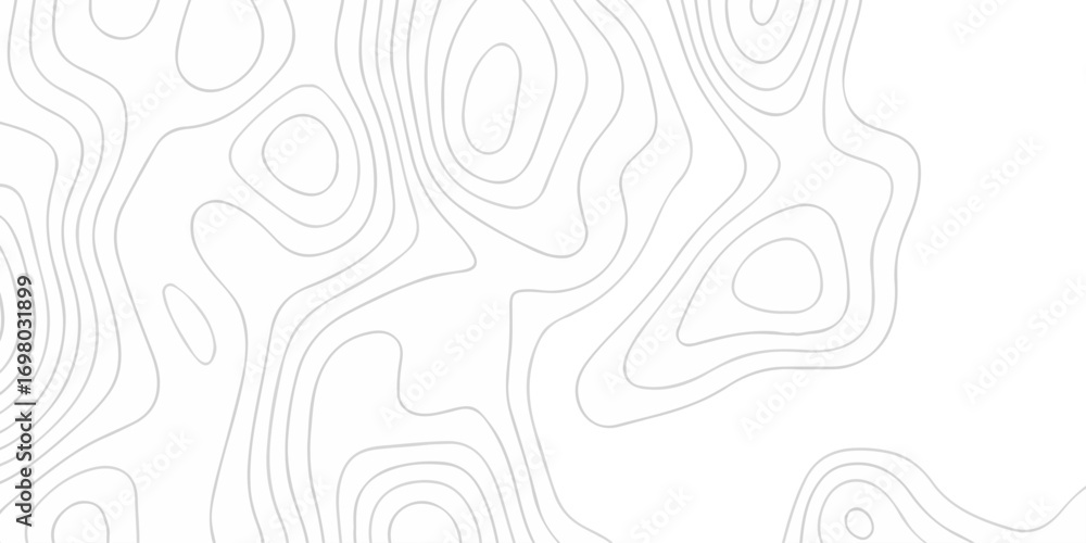 Poster abstract topographic white wave paper curved reliefs. topographic map patterns, topography line map.