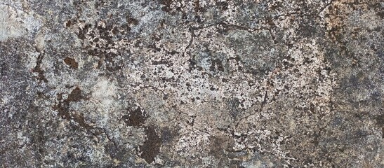 Fototapeta premium Raw Abstract Texture of Weathered Rock with Lichen