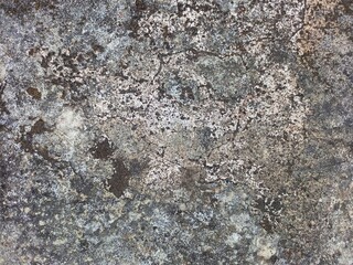 Raw Abstract Texture of Weathered Rock with Lichen