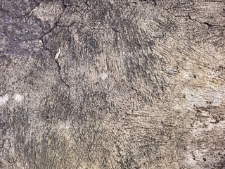 Raw Grunge Texture of a Scored Concrete Surface