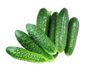 group of fresh cucumbers against a black backdrop