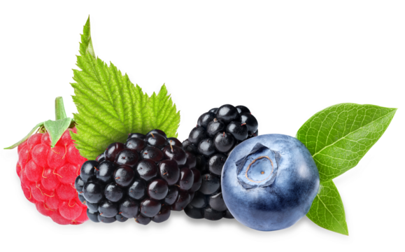 vibrant mix of fresh berries with leaves on a transparent background