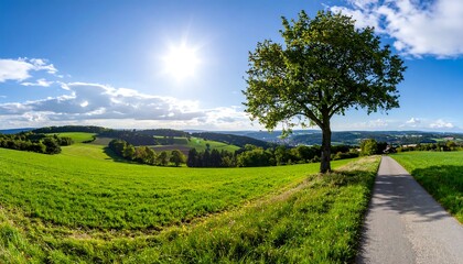 Obraz premium Panoramic view of a sunny countryside