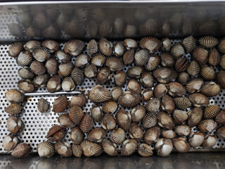A quantity of fresh cockles with their shells still on, contained in a metal perforated tray. They are a type of shellfish, commonly used in various cuisines.