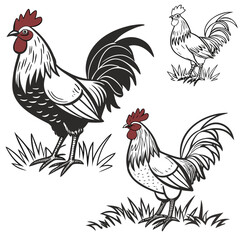 Stylized roosters standing in grass detailed illustration in black white and red colors