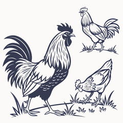 Stylized silhouette illustrations of roosters and a hen in grass on a white background