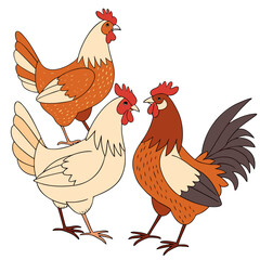 Three cartoon chickens and roosters with red combs and wattles on a white background