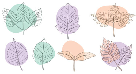 Obraz premium Collection of Stylized Line Art Leaf Illustrations with Colorful Backgrounds.