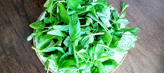 Mint leaves isolated on white. Spearmint leaves collection clipping path. Small macro studio photo