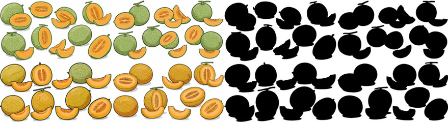 Cute citrus fruits with shadow outlines