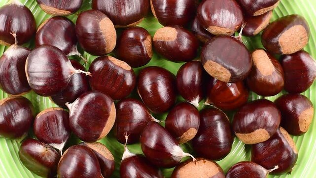 Pile of raw chestnuts from the province of Frosinone in the Italian Lazio region,high angle view on green plate,close-up,rotating video.