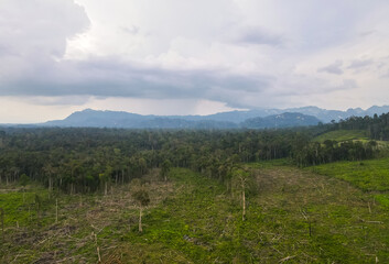 An aerial view showing the impact of land use change and deforestation in Berau, East Kalimantan, Indonesia. A tropical rainforest has been cleared, with the Merabu Karst mountains in the distance.