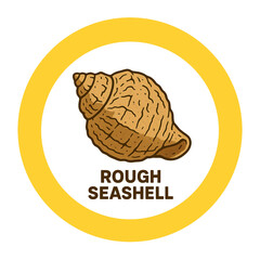 Rough seashells icon 