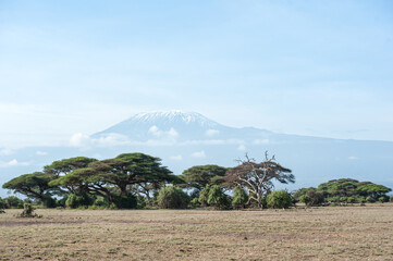 Evening atmosphere at Kilimanjaro