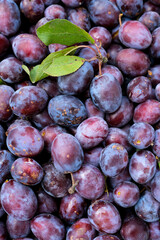 Close-up of fresh plums with green leaves, top view.