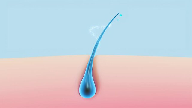 3D animation of a hair follicle absorbing essential oils, showing hydration, scalp nourishment, and healthy, shiny hair growth.