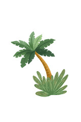 aloe vera plant