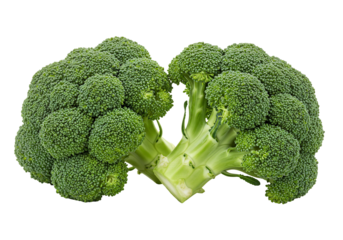 Fresh green broccoli vegetable healthy food diet nutrition two heads closeup