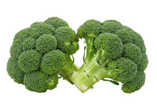 Fresh green broccoli vegetable healthy food diet nutrition two heads closeup