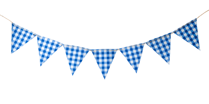 Blue and white checkered bunting flags perfect for celebrations, parties, and festive decorations on a string