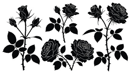 Elegant Rose Silhouettes - A Collection of Botanical Beauty.