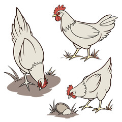 Three cartoon chickens in different poses on a white background with grass and eggs