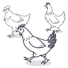 Three cartoon chickens drawn in a simple line art style with subtle shading on a white background