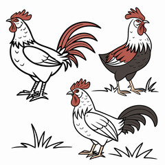 Three stylized cartoon roosters depicted in different poses and colors on a white background with grass elements