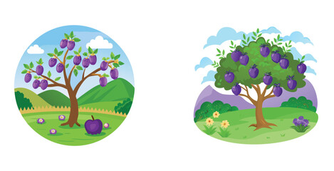 Plum tree in fertile valley featuring a mature trees vector art set design illustration